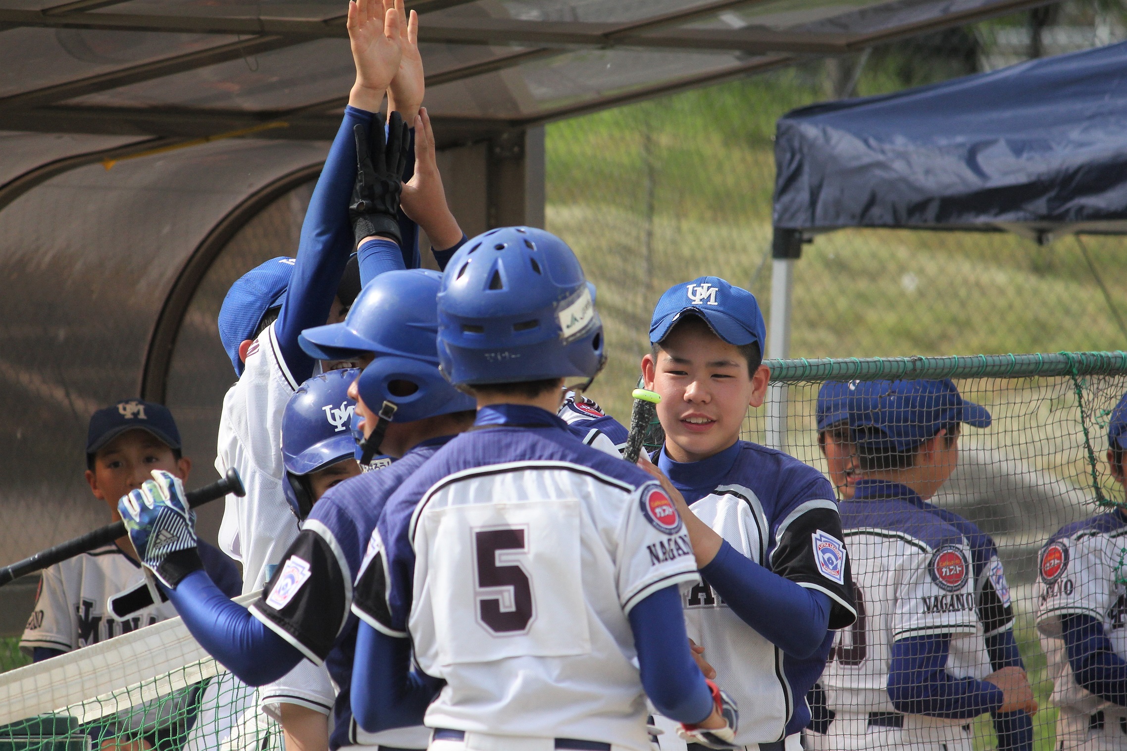 リトル信越連盟春季大会【準優勝】の写真をUPしました